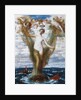 Venus Anadyomene, 1872 by Arnold Bocklin