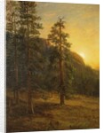California Redwoods, 1872 by Albert Bierstadt