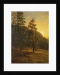 California Redwoods, 1872 by Albert Bierstadt