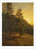 California Redwoods, 1872 by Albert Bierstadt