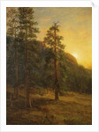 California Redwoods, 1872 by Albert Bierstadt