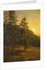 California Redwoods, 1872 by Albert Bierstadt