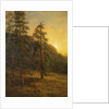 California Redwoods, 1872 by Albert Bierstadt