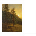 California Redwoods, 1872 by Albert Bierstadt