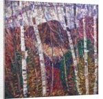 White Birches, c.1908 by Marsden Hartley