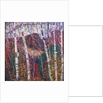 White Birches, c.1908 by Marsden Hartley