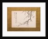 Prunus Blossoms, folding screen, panel 2 of 4, Edo period 1844 by Yamamoto Baiitsu