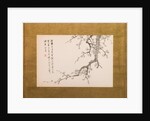 Prunus Blossoms, folding screen, panel 2 of 4, Edo period 1844 by Yamamoto Baiitsu
