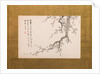 Prunus Blossoms, folding screen, panel 2 of 4, Edo period 1844 by Yamamoto Baiitsu