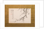 Prunus Blossoms, folding screen, panel 2 of 4, Edo period 1844 by Yamamoto Baiitsu