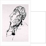 Portrait of Aubrey Beardsley, 1998 by Stevie Taylor