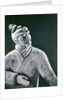 Terracotta Warrior, 2000 by Stevie Taylor
