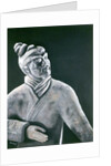 Terracotta Warrior, 2000 by Stevie Taylor