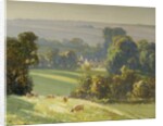 In the heart of the Cotswolds by Frederick Milner
