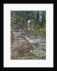 Terrace, Mas de la Rose by Susan Ryder