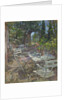 Terrace, Mas de la Rose by Susan Ryder