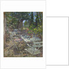 Terrace, Mas de la Rose by Susan Ryder