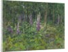 Foxgloves by Susan Ryder