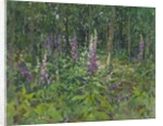 Foxgloves by Susan Ryder