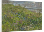 Headland Flowers near Berwick by Susan Ryder