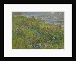 Headland Flowers near Berwick by Susan Ryder