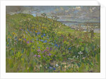 Headland Flowers near Berwick by Susan Ryder