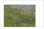 Headland Flowers near Berwick by Susan Ryder