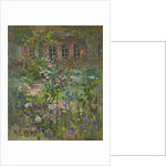 Rose in Shadow by Susan Ryder