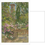 Rose Arch, Languedoc by Susan Ryder