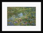 Waterlilies by Susan Ryder