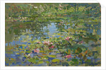 Waterlilies by Susan Ryder