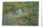 Waterlilies by Susan Ryder