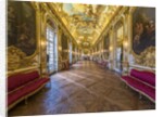 The gallery doree and the vault by Anonymous