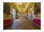 The gallery doree and the vault by Anonymous