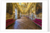 The gallery doree and the vault by Anonymous