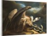 Vulture and Snake, 1798 by James Northcote