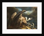 Vulture and Snake, 1798 by James Northcote
