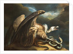 Vulture and Snake, 1798 by James Northcote