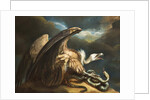 Vulture and Snake, 1798 by James Northcote