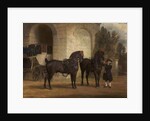 Two Black Coach Horses with a Coachman, 1791 by George Garrard