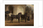 Two Black Coach Horses with a Coachman, 1791 by George Garrard