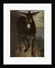 A Sicilian Ass by Benjamin Robert Haydon