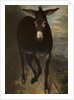 A Sicilian Ass by Benjamin Robert Haydon