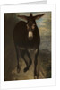A Sicilian Ass by Benjamin Robert Haydon