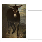 A Sicilian Ass by Benjamin Robert Haydon