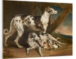 Dalmatian Dogs by James Ward