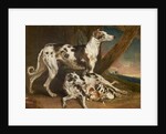 Dalmatian Dogs by James Ward