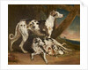 Dalmatian Dogs by James Ward
