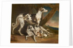 Dalmatian Dogs by James Ward
