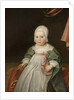Portrait of a Child, c.1630 by Dutch School
